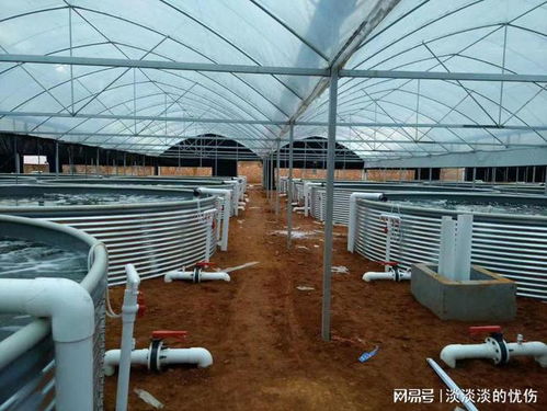 攜手長辰漁業(yè) 探索工廠化養(yǎng)殖的變革之路與核心技術(shù)發(fā)展